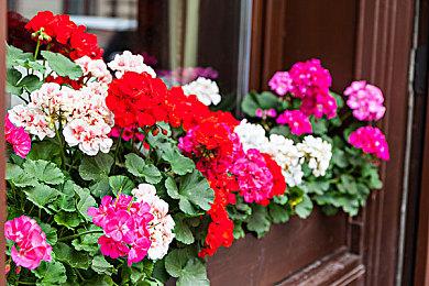 Steam秋季特卖：史低折扣+Steam大奖评选同步开启